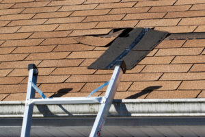 A brown shingle roof has damage with missing shingles. A ladder sits on the roof to access it for repairs.