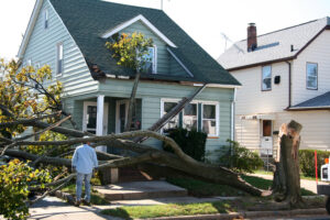 Damaged house from tree collapsing during a storm